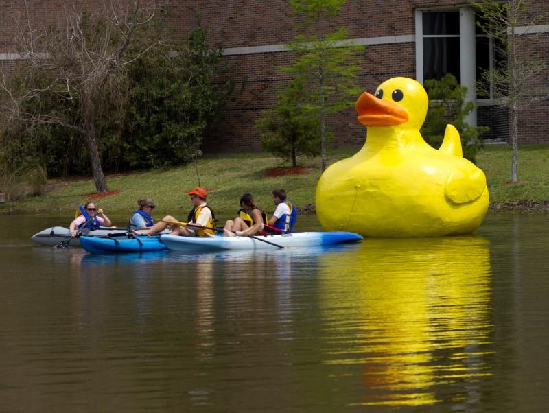 Students from the Enlivened Spaces class set up the duck in front of the UNF library.