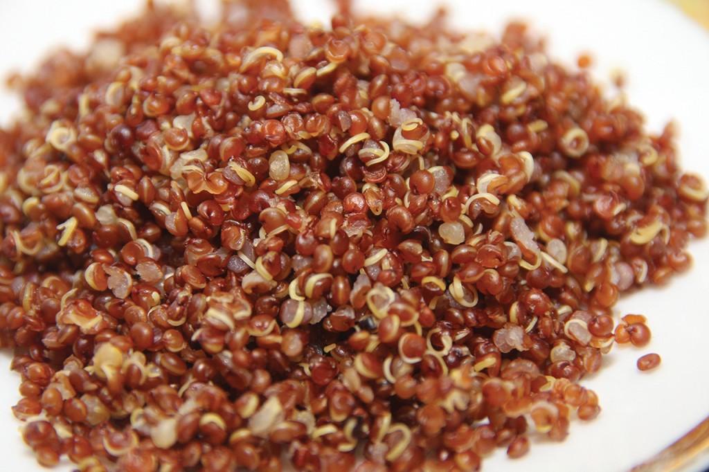 quinoa_wiki