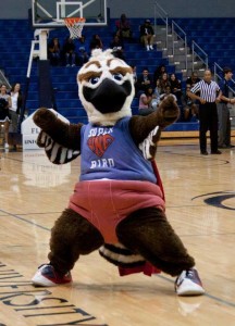 North Florida's mascot, Ozzie the Osprey. Photo courtesy of Facebook.