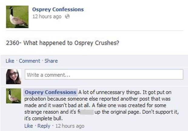 Confession 2360 on the Osprey Confessions page wonders why Osprey Crushes disappeared. Graphic courtesy of Facebook.