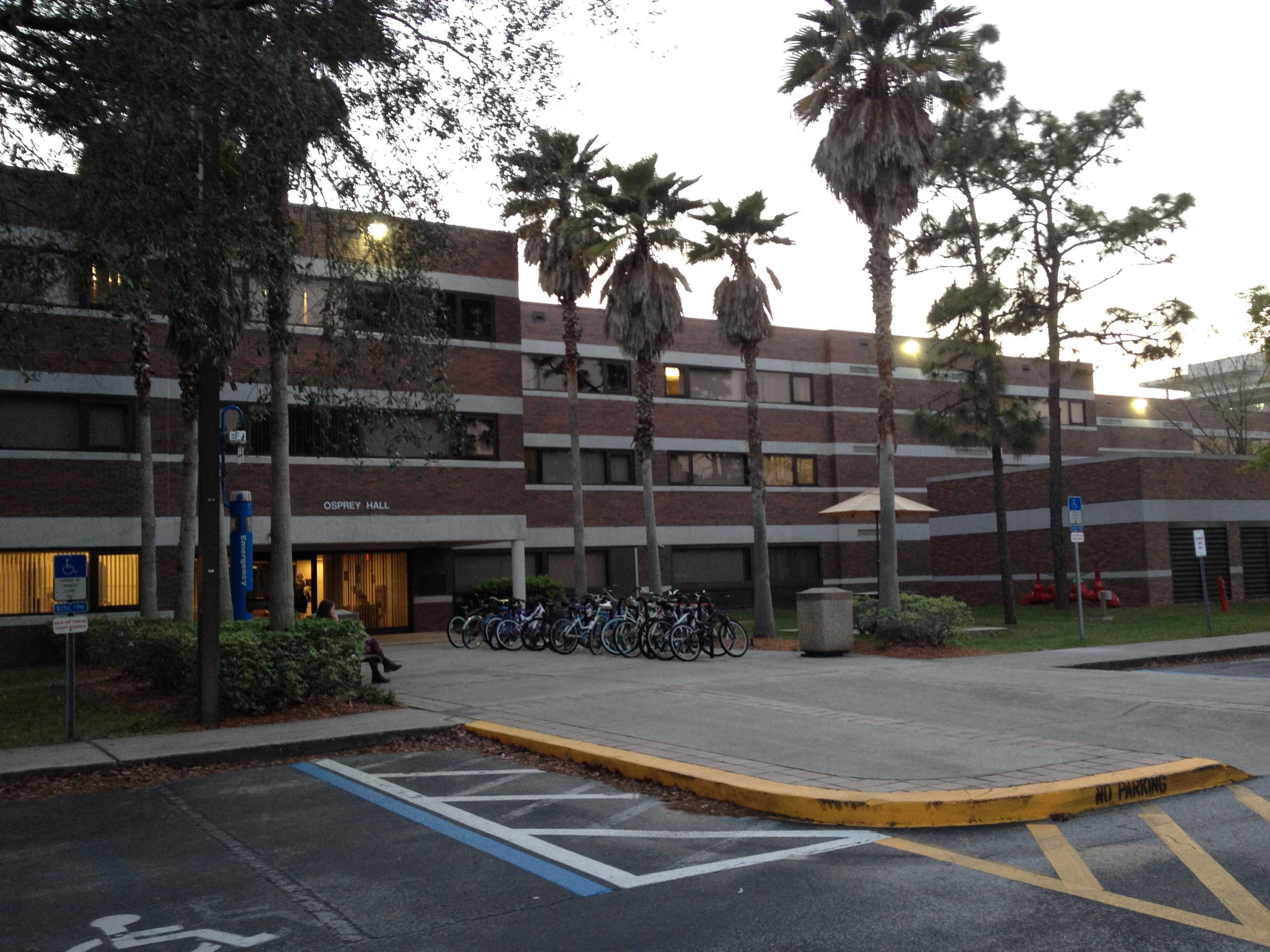 Lot 10 , where the victim unloaded his groceries, is behind Osprey Hall. Photo by Lydia Moneir