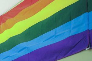 LGBTflagTyler_vanVoorthuijsen1