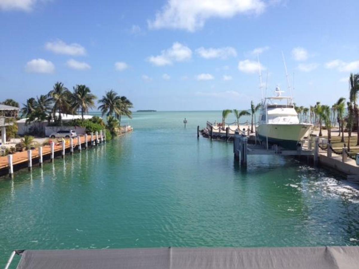 Hindered baby coral development leads biology professor and students to the Florida Keys