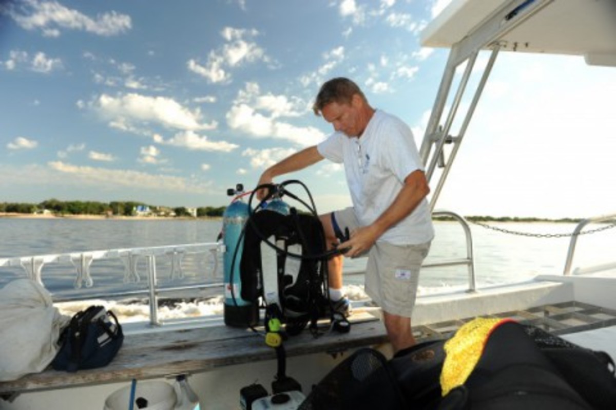 Associate Professor William Dally. 

Photo courtesy UNF.