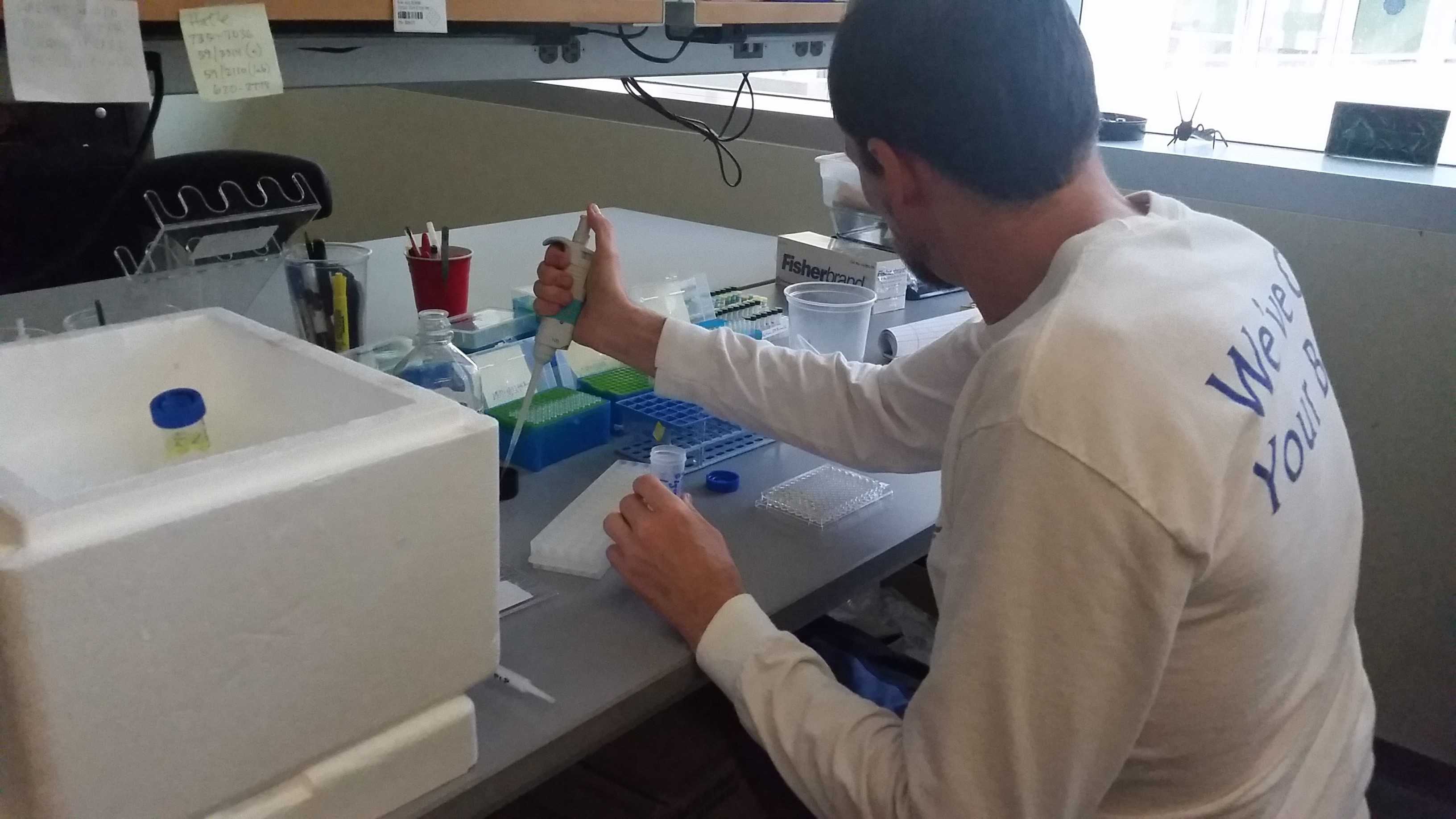 Biology student working in lab. Photo by Travis Pridgen