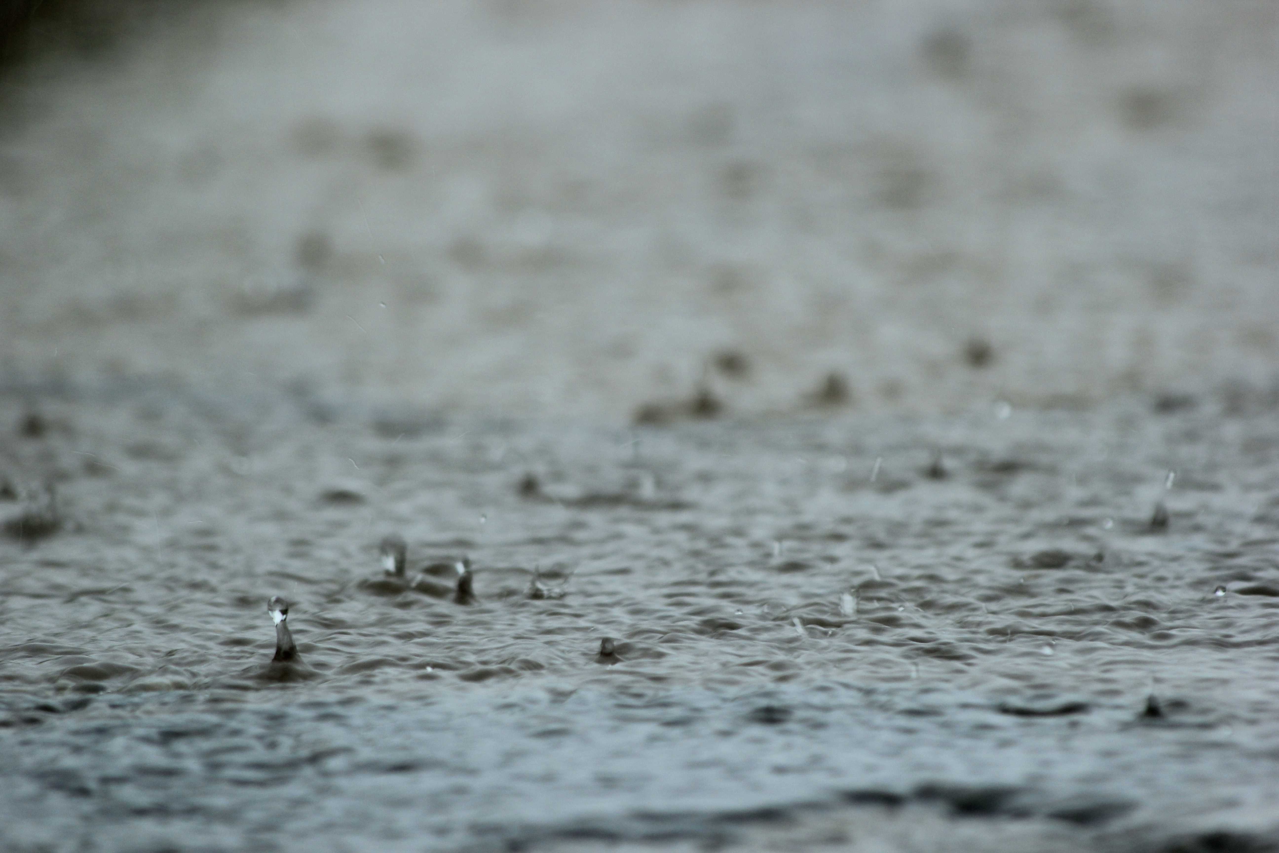 UNF will announce if classes are cancelled Wednesday morning.  