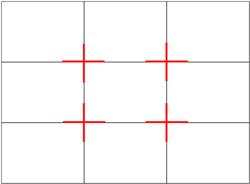 Many cameras will have this rule of thirds grid in their viewfinder.
