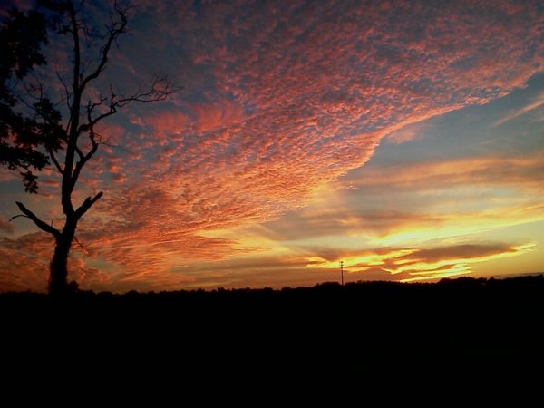 A low horizon allows for the focus to remain on the sky. Photo by Mark Judson.