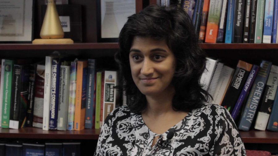 Professor Profile: Radha Pyati