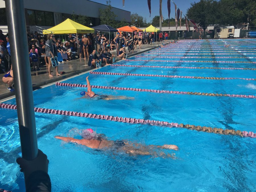 UNF Swimming grabs a win in lone home meet – UNF Spinnaker