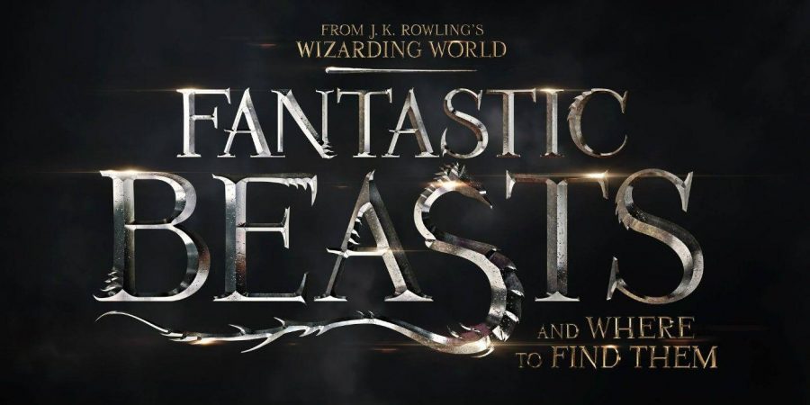 Fantastic Beasts and Where To Find Them: Better than expected