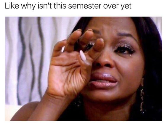 college finals week meme