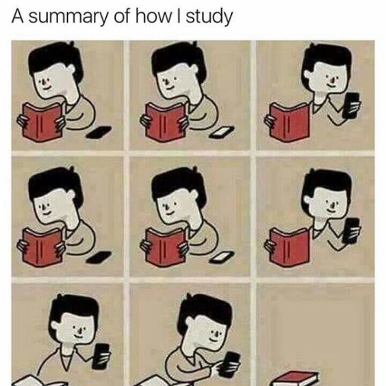 studying finals meme