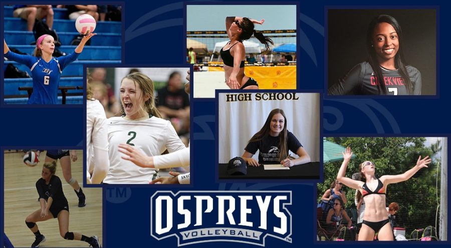 Volleyball signs seven new students