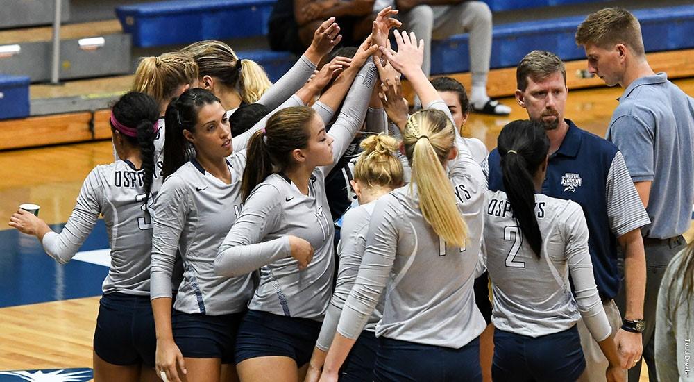 Roster Call Volleyball UNF Spinnaker