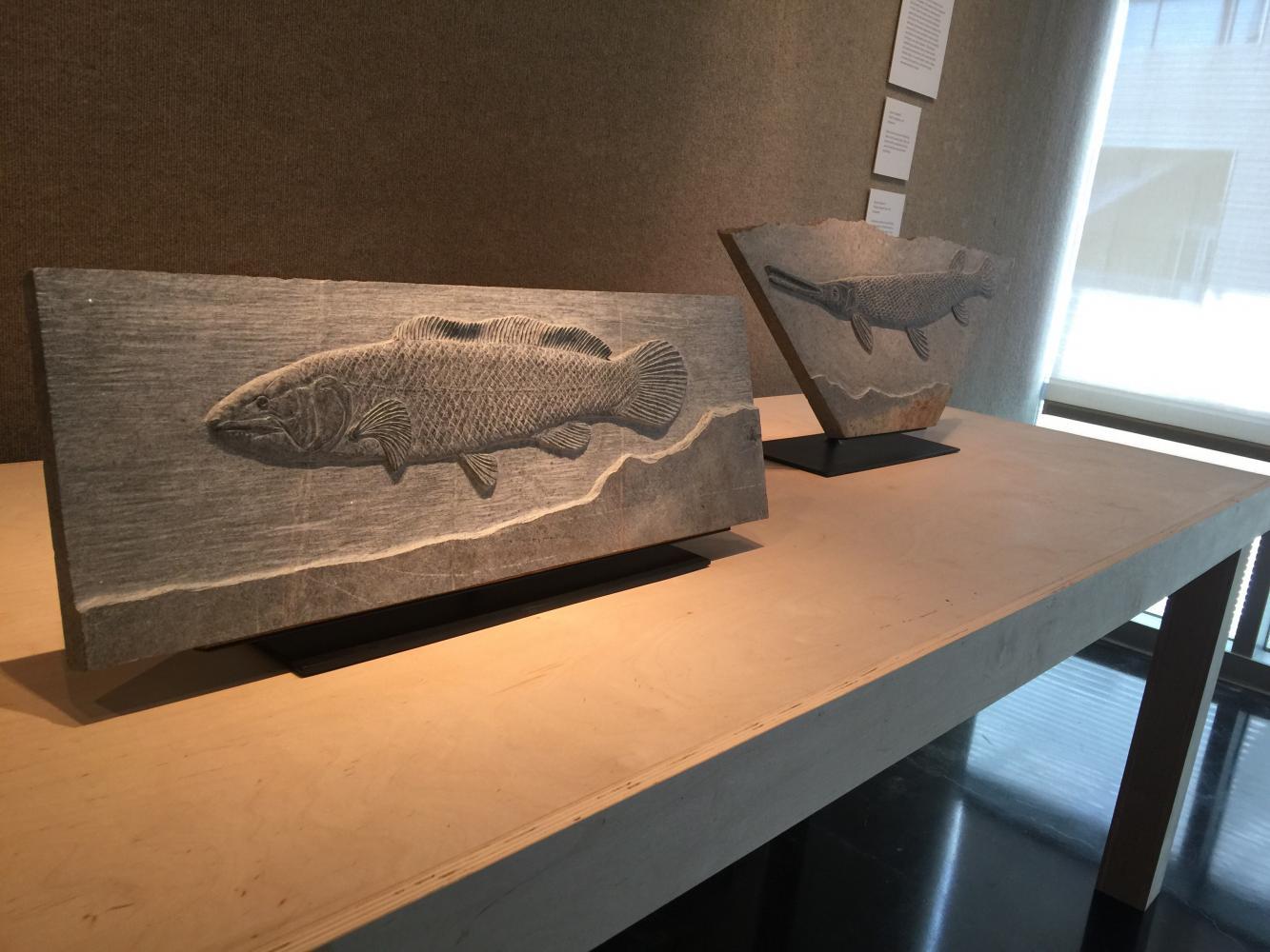 Lost Springs: A New Multimedia Exhibition at the Lufrano Gallery