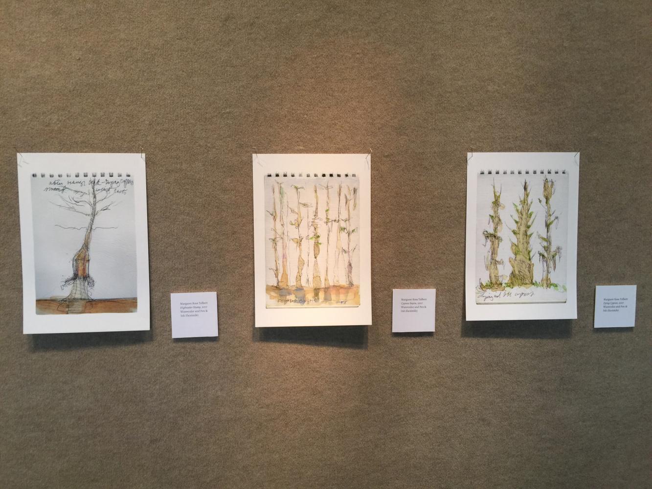 Lost Springs: A New Multimedia Exhibition at the Lufrano Gallery