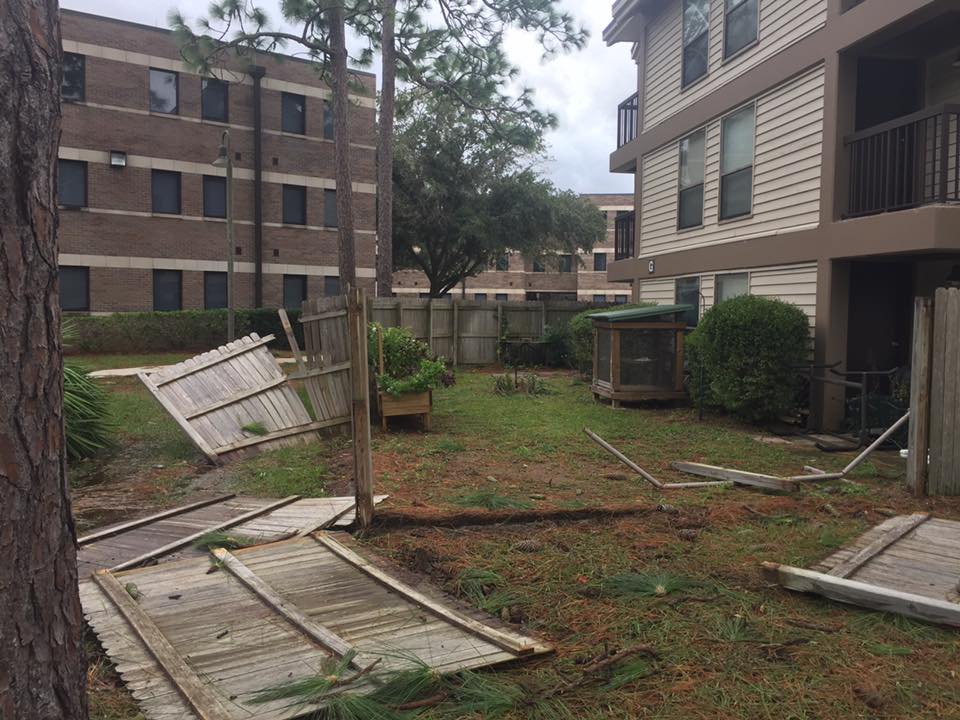 After the storm: Irma's damage around UNF