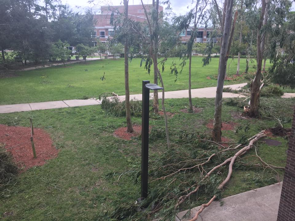 After the storm: Irma's damage around UNF