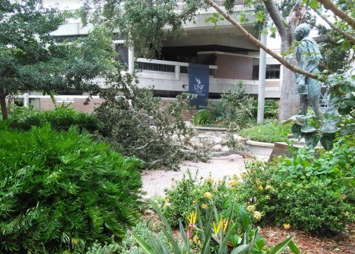 After the storm: Irma's damage around UNF