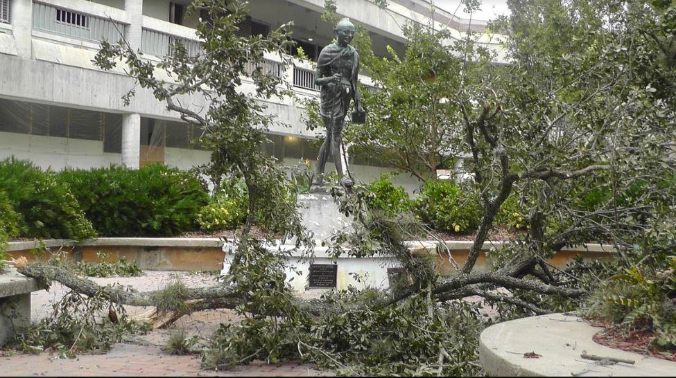 After the storm: Irma's damage around UNF