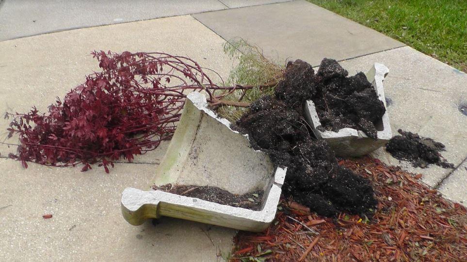 After the storm: Irma's damage around UNF
