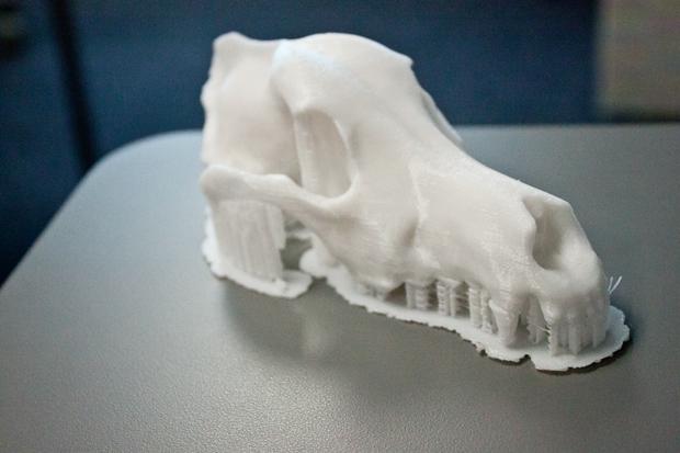 UNFs 3D printing lab