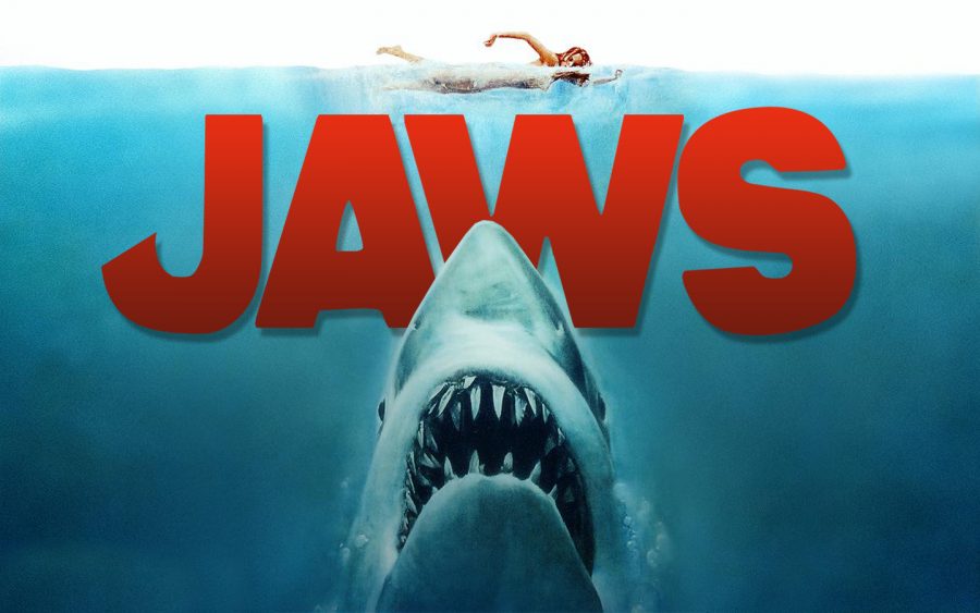Jaws (1975) | History of Horror