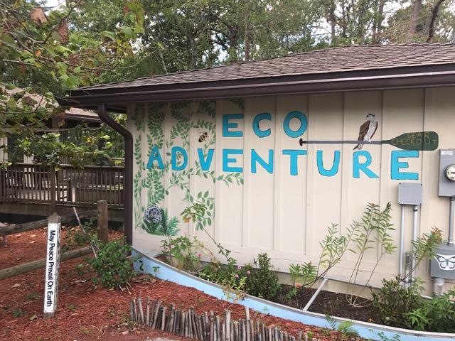 Zip in, zip out at Eco Adventures this Thursday and Friday