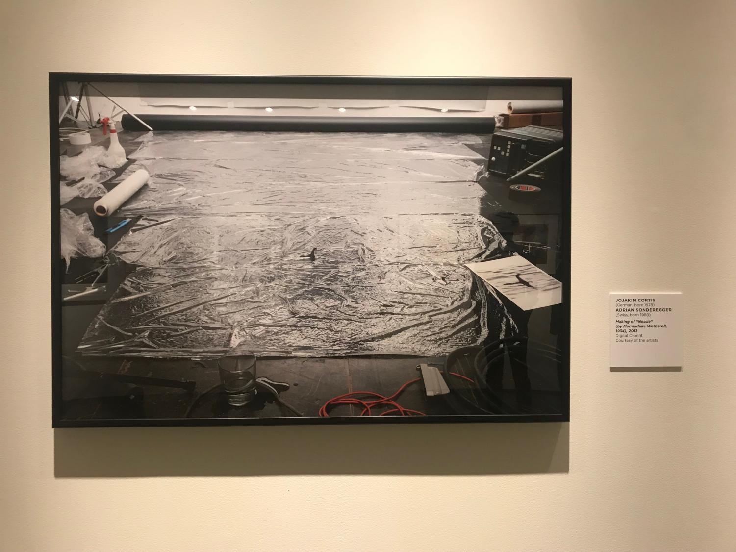 New MOCA Jacksonville exhibits: "Unverified" and "Circumvolve: Narratives and Responses to Life Cycles"