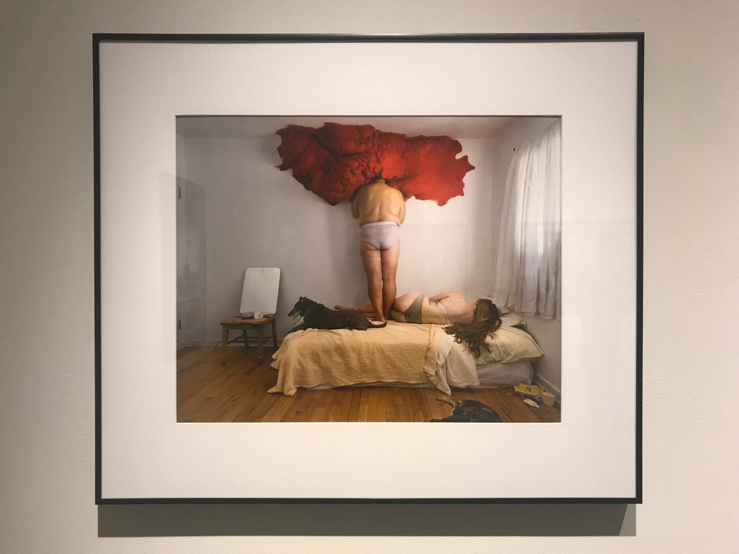 New MOCA Jacksonville exhibits: "Unverified" and "Circumvolve: Narratives and Responses to Life Cycles"