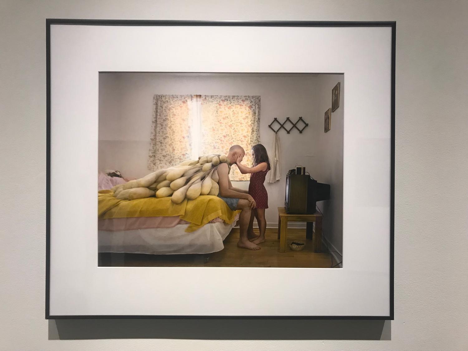New MOCA Jacksonville exhibits: "Unverified" and "Circumvolve: Narratives and Responses to Life Cycles"