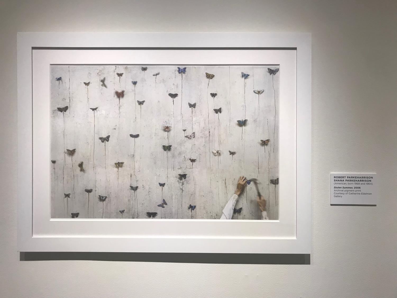 New MOCA Jacksonville exhibits: "Unverified" and "Circumvolve: Narratives and Responses to Life Cycles"