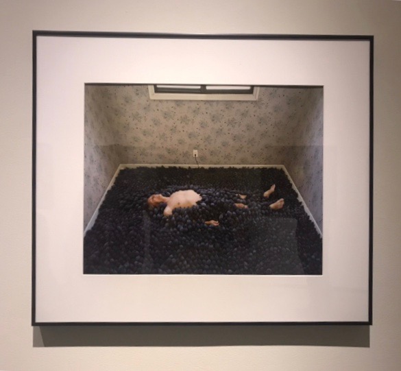 New MOCA Jacksonville exhibits: "Unverified" and "Circumvolve: Narratives and Responses to Life Cycles"