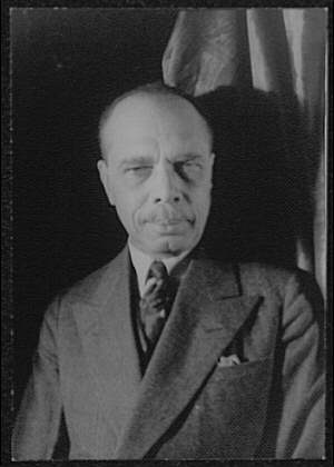 <i> James Weldon Johnson </i>