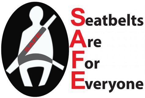 safety belt