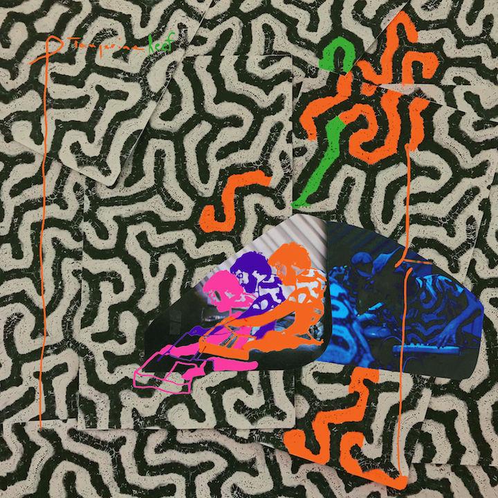 The cover of "Tangerine Reef" by Animal Collective