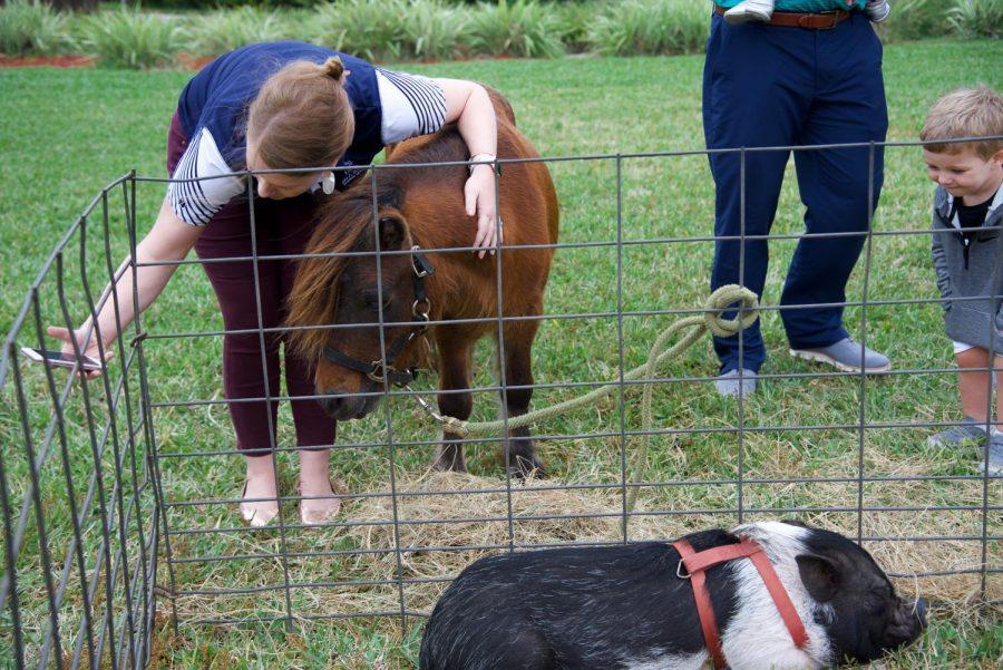 Students and children enjoying the petting zoo animals.