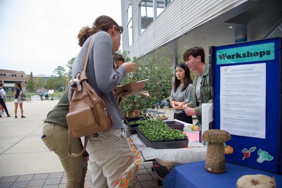 Students at market day
