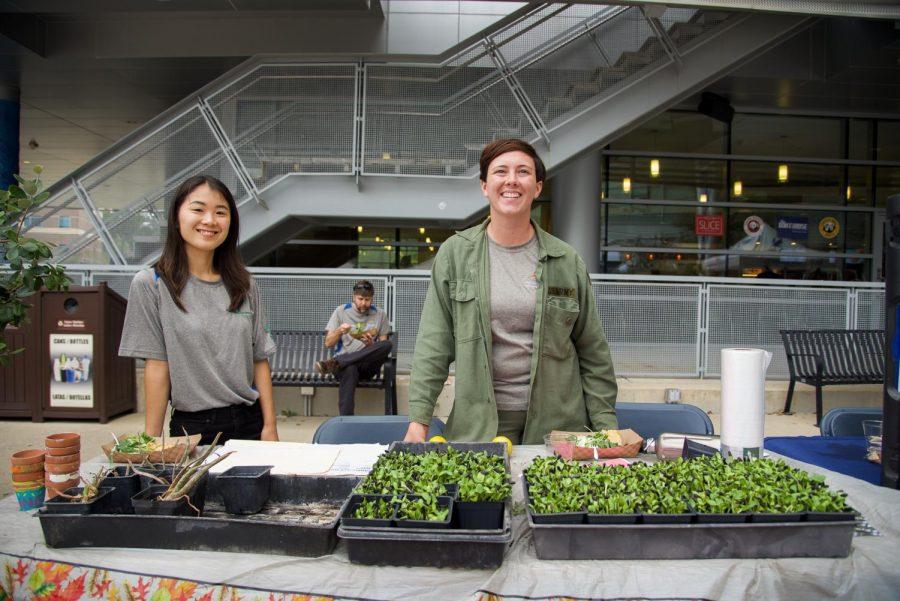  Students from the Ogier Gardens passing out sunflower plants.