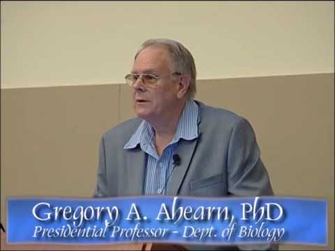 Professor Gregory Ahearn. Courtesy of the University of North Florida