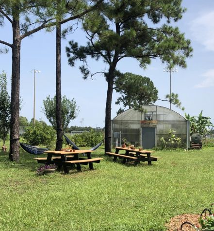 Picnic tables at the Ogier Gardens