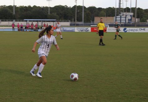 Ospreys outplay winless Dolphins in 2-1 battle