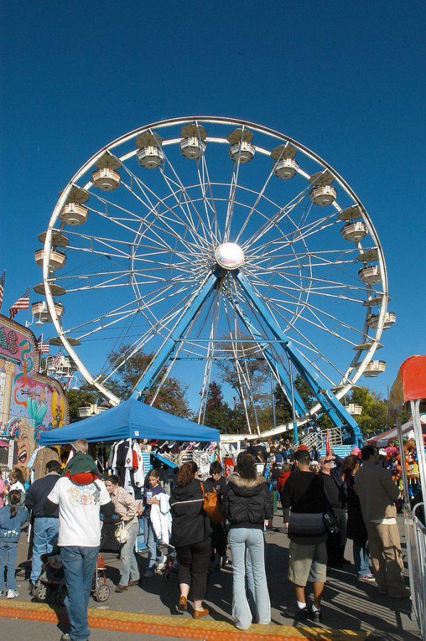 Fun, Fried Food, and Furry Friends