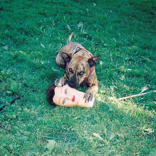 Album review: “Cody” by Joyce Manor