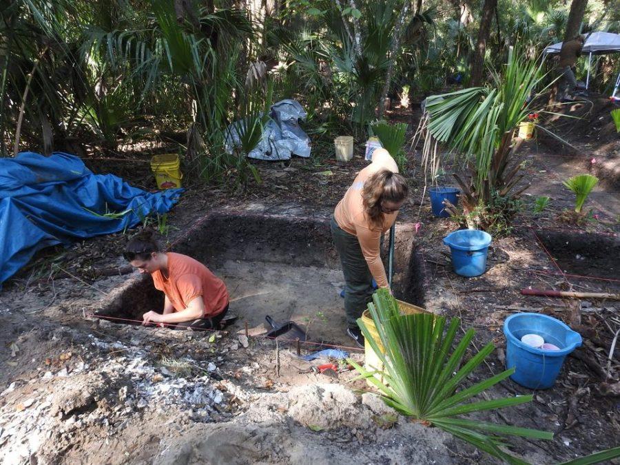 UNF archaeology program recovers various artifacts in Big Talbot Island