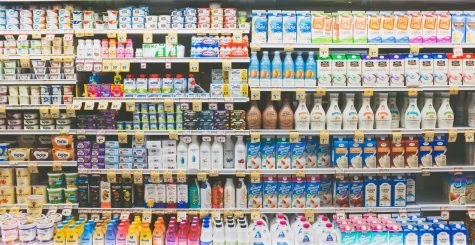 Cow milk and plant-based milk; which is better?