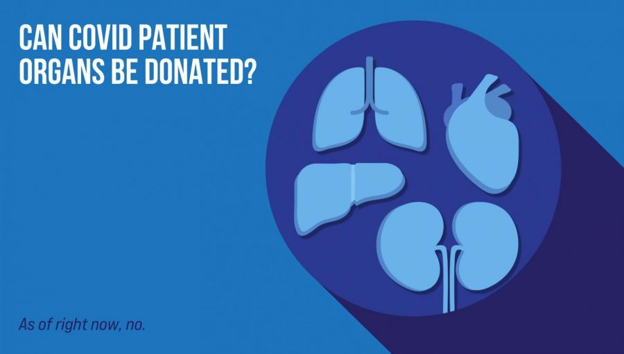 Can COVID patients' organs be donated?