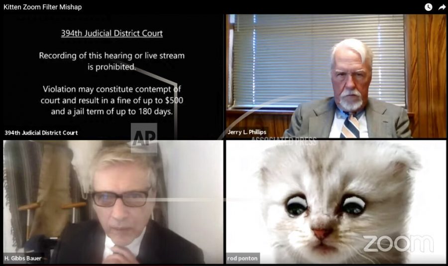 This image from video shows a hearing from the 394th Judicial District Court of Texas. The hearing took a detour when an attorney showed up looking like a kitten. A filter that had been activated on the attorneys device obscured his appearance and made him look like a cat. Judge Roy Ferguson shared the short video clip of the mishap on YouTube. The judge says everyone involved handled the situation with professionalism and grace. (Texas Department of Criminal Justice via AP)