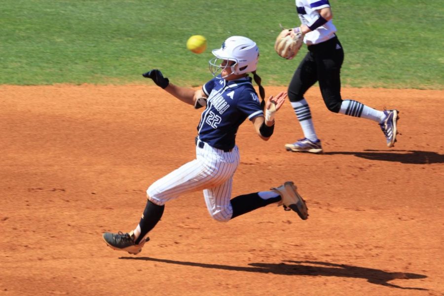 Softball held hitless in finale, drops first ASUN series to Queens